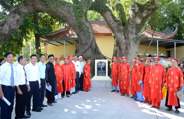 Cây Dã hương thứ 3 của xã Lương Phong được vinh danh là Cây Di sản Việt Nam