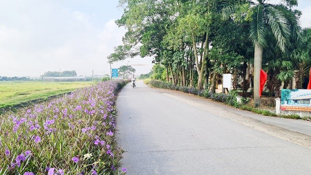 Xã Hoàng Vân, xã Xuân Cẩm được công nhận đạt chuẩn nông thôn mới nâng cao năm 2023