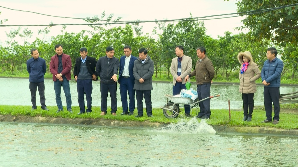 Bí thư Huyện ủy Dương Thanh Tùng thăm mô hình nông nghiệp tiêu biểu tại xã Thái Sơn