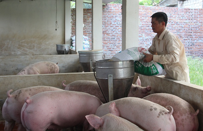 Bình ổn thị trường tiêu thụ thịt lợn
