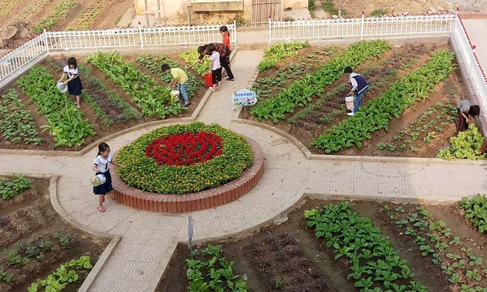 Trường Tiểu học Danh Thắng giáo dục niềm say mê lao động cho học sinh thông qua “Vườn trải nghiệm...