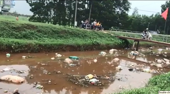 Khắc phục tình trạng rác thải, xác lợn trôi trên kênh từ tỉnh Thái Nguyên về Bắc Giang