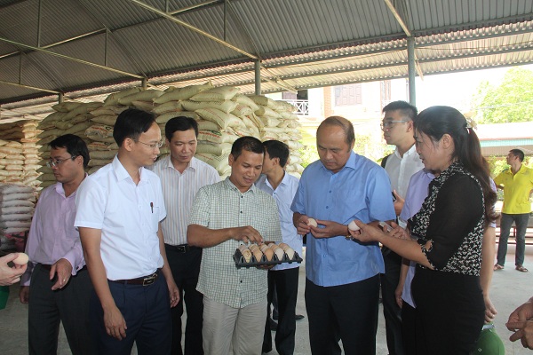 Chủ tịch UBND tỉnh Nguyễn Văn Linh thăm mô hình sản xuất nông nghiệp ở huyện Hiệp Hòa