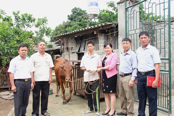 Ban vận động Quỹ vì người nghèo huyện hỗ trợ xây dựng nhà đại đoàn kết, hỗ trợ bò giống cho hộ nghèo