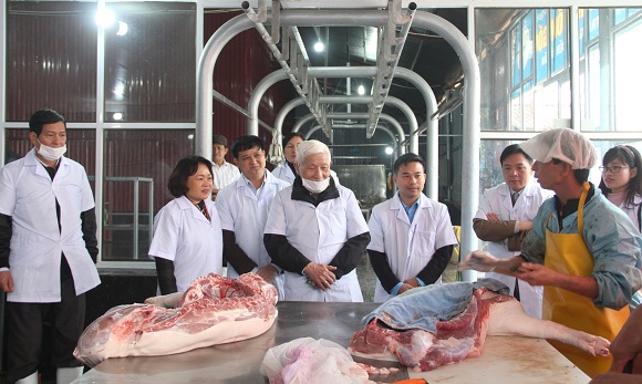 Công ty cổ phần Dinh dưỡng Hải Thịnh đưa vào sử dụng dây chuyền giết mổ gia súc an toàn 